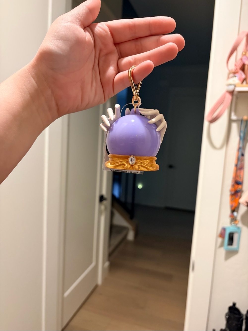 Bbw Halloween pocketbac holder